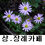 �߸� ī��010-4445-4444